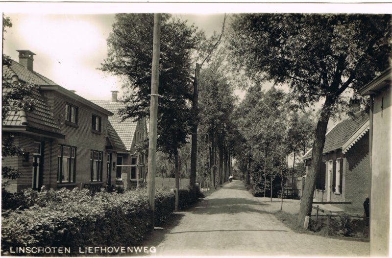 liefhovendijk10.jpg